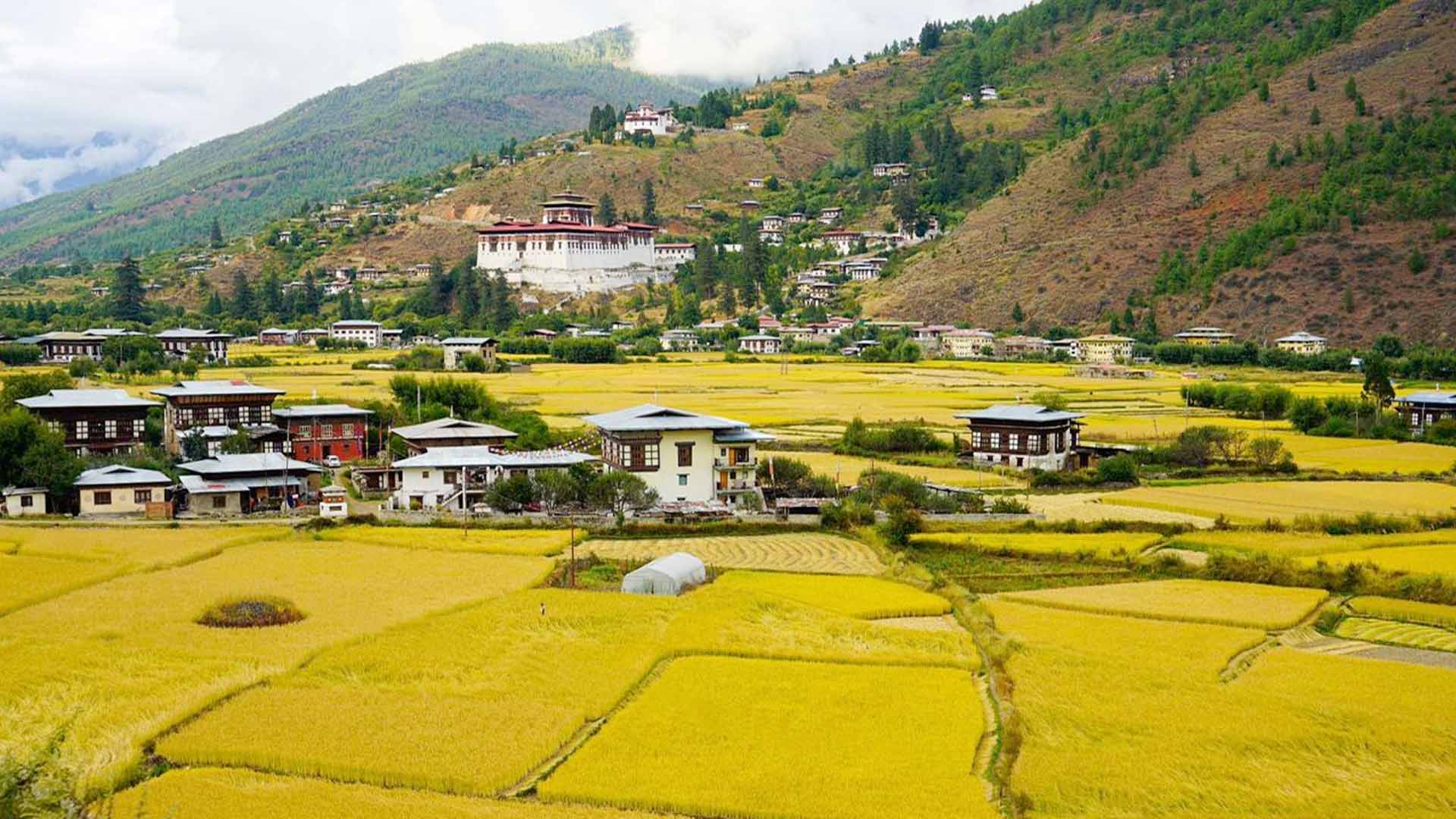 Best of Bhutan Cultural Tour 