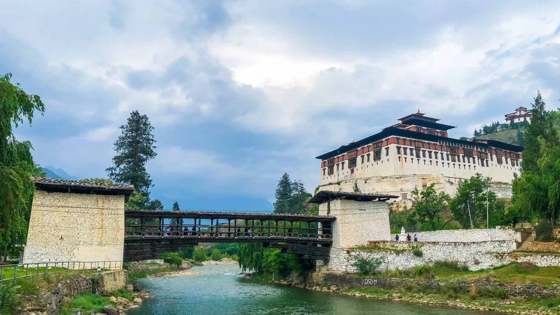 Wellness & Spiritual Retreat (7 Days)