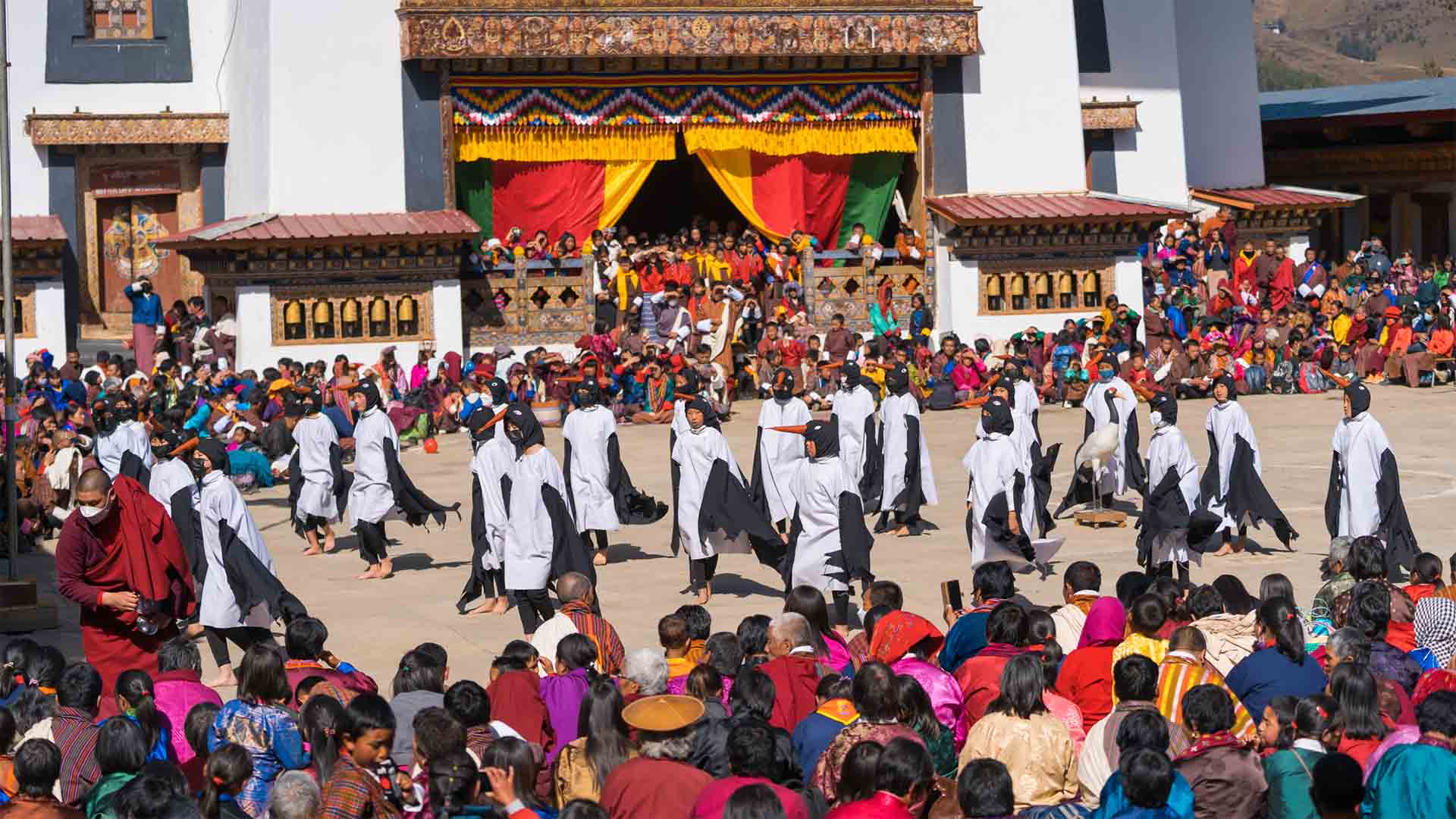 Black-Necked Crane Festival Tour