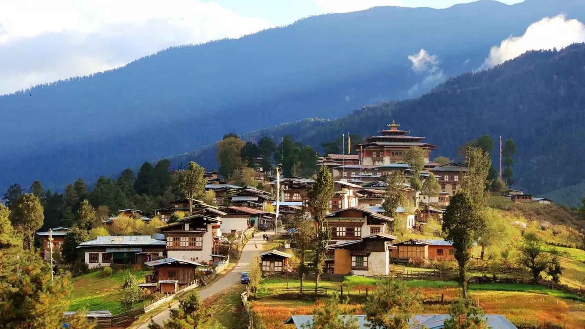 Seasonal Speciality Tours